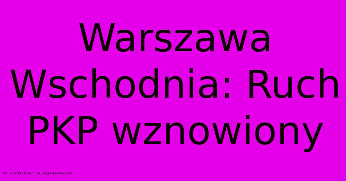 Warszawa Wschodnia: Ruch PKP Wznowiony