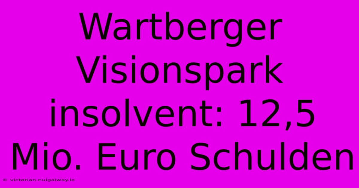 Wartberger Visionspark Insolvent: 12,5 Mio. Euro Schulden