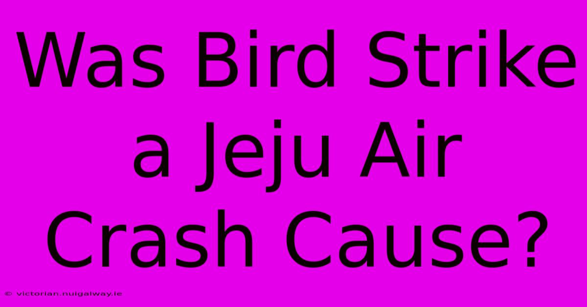 Was Bird Strike A Jeju Air Crash Cause?