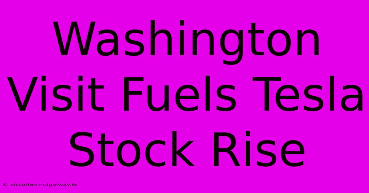 Washington Visit Fuels Tesla Stock Rise 