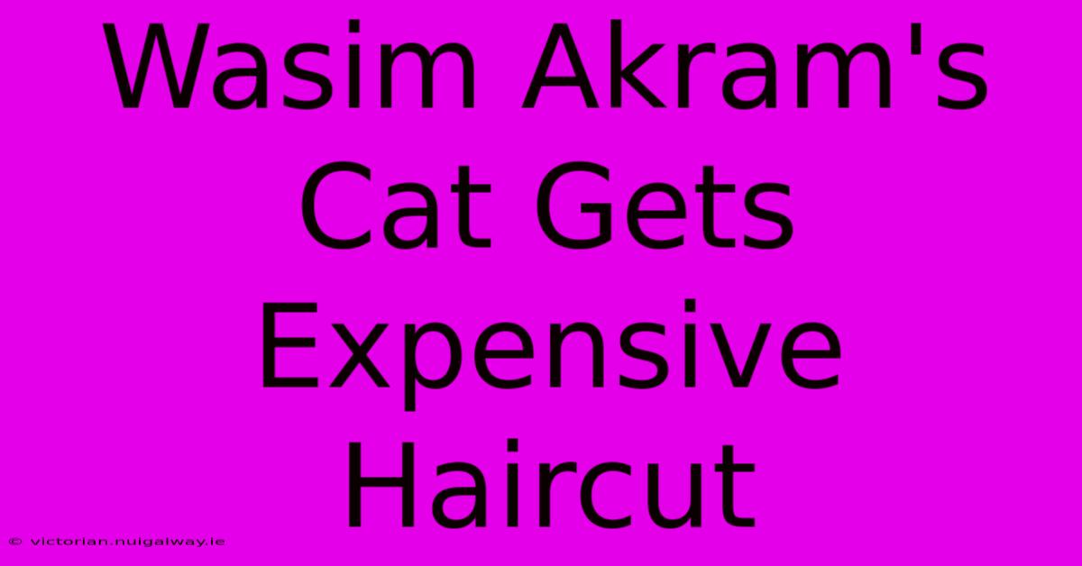 Wasim Akram's Cat Gets Expensive Haircut