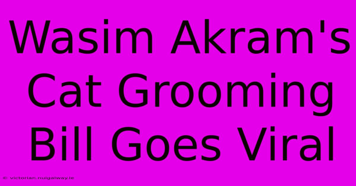 Wasim Akram's Cat Grooming Bill Goes Viral