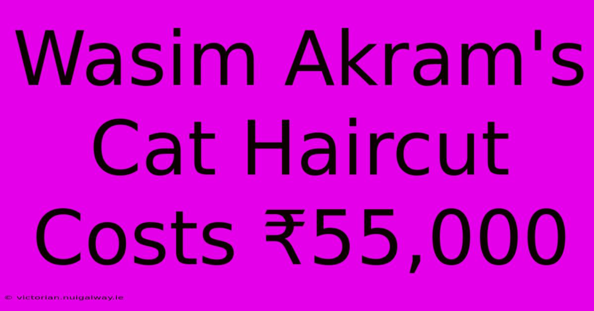 Wasim Akram's Cat Haircut Costs ₹55,000