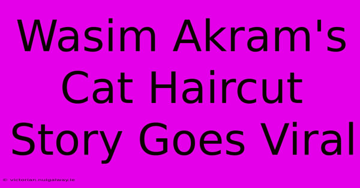 Wasim Akram's Cat Haircut Story Goes Viral