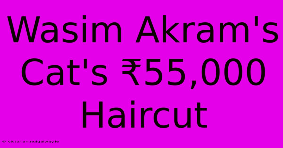 Wasim Akram's Cat's ₹55,000 Haircut