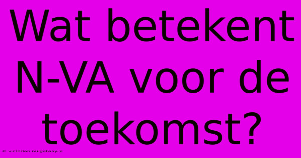 Wat Betekent N-VA Voor De Toekomst?