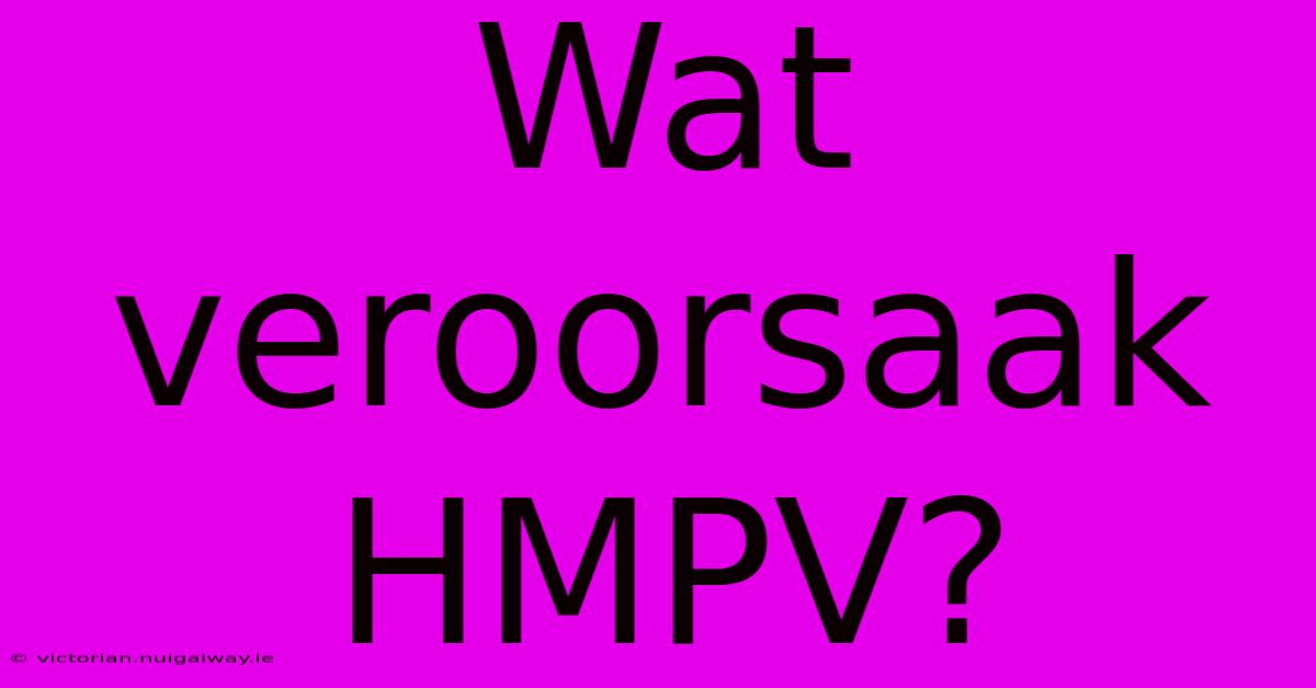 Wat Veroorsaak HMPV?