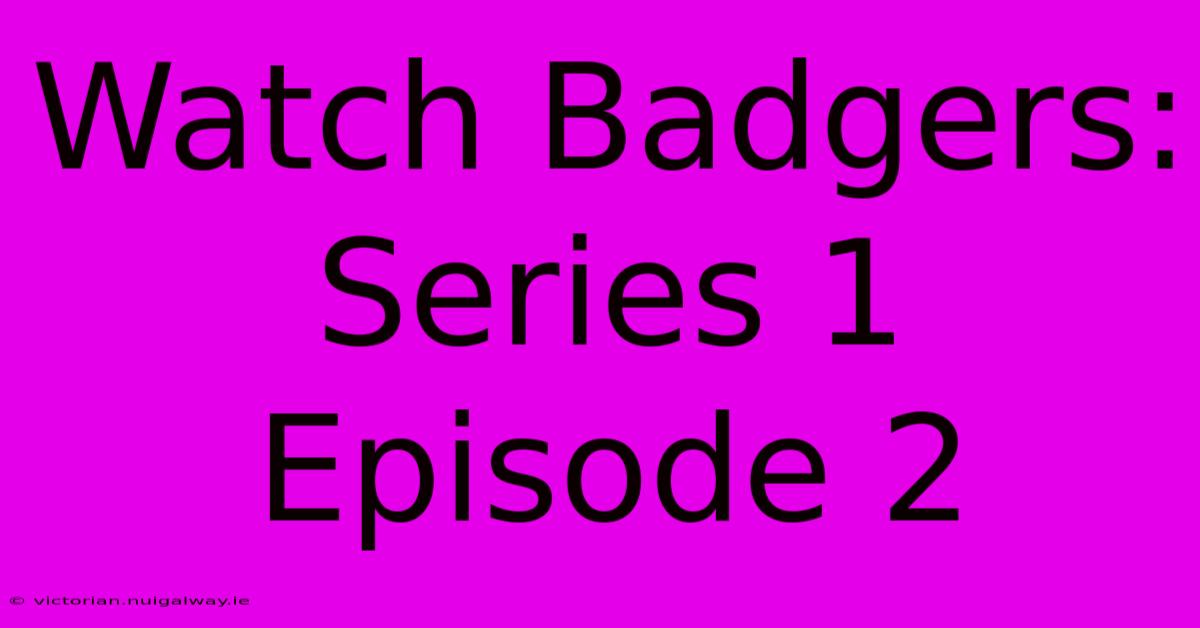 Watch Badgers: Series 1 Episode 2