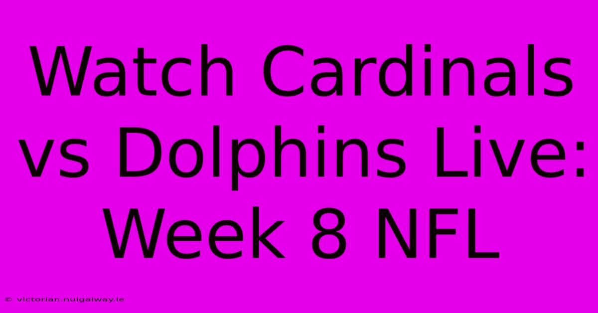 Watch Cardinals Vs Dolphins Live: Week 8 NFL