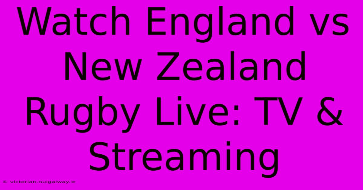 Watch England Vs New Zealand Rugby Live: TV & Streaming