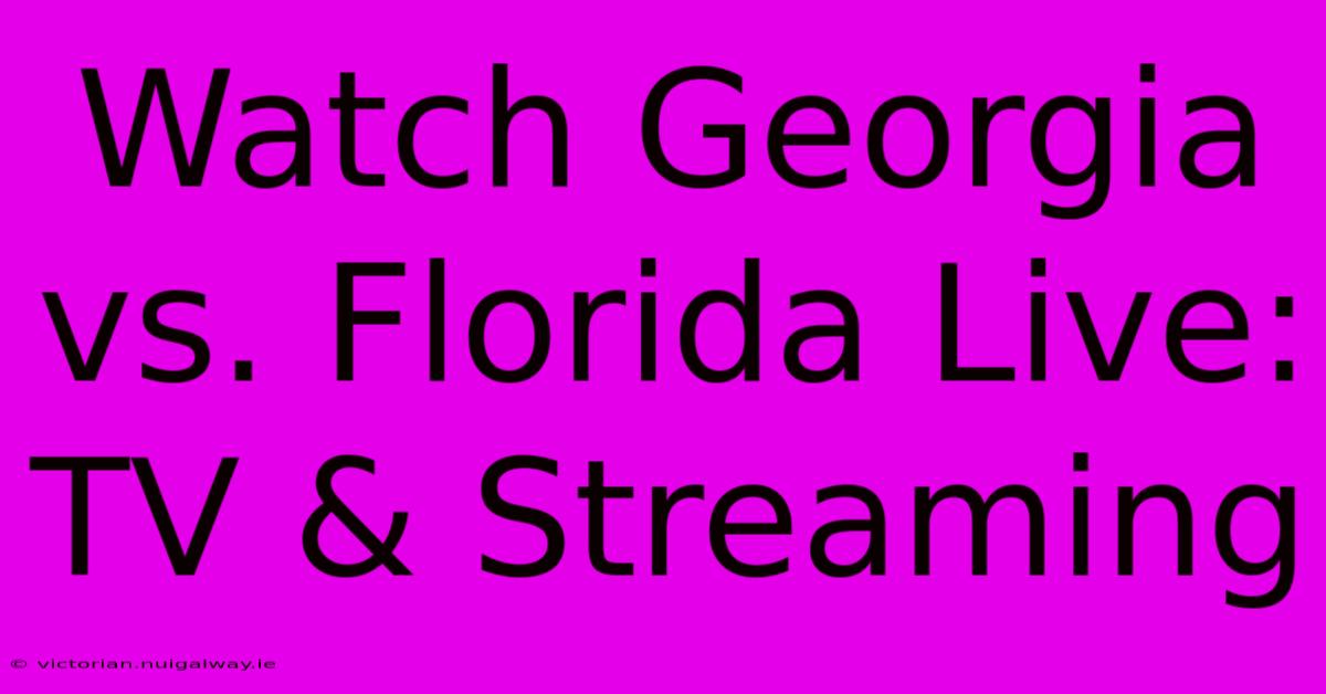 Watch Georgia Vs. Florida Live: TV & Streaming