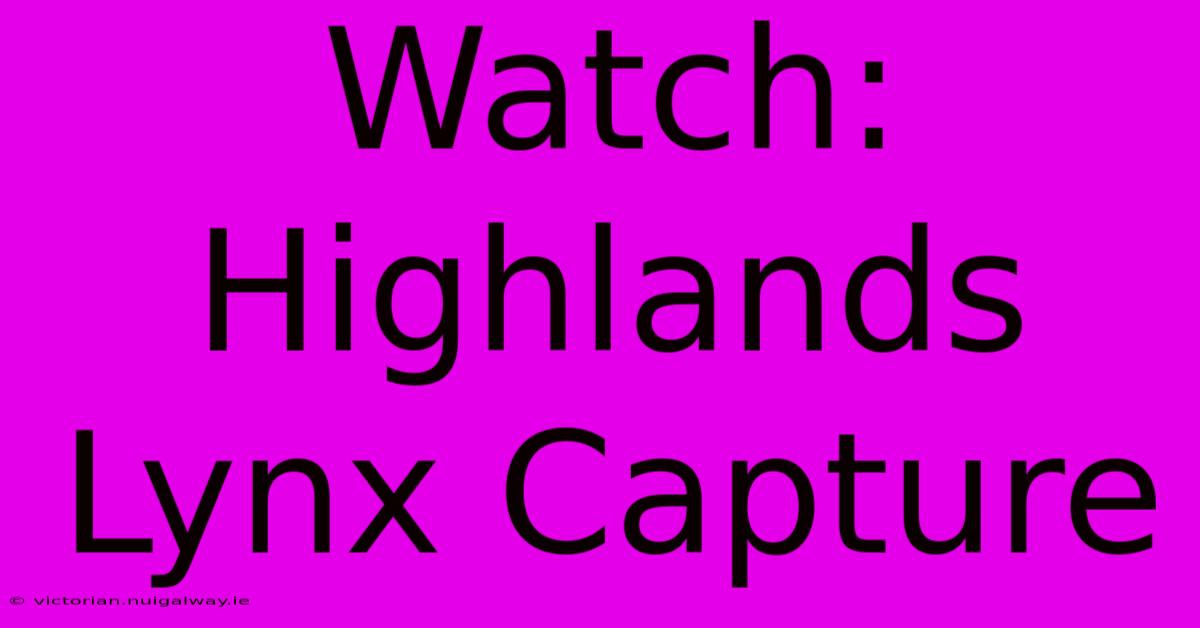 Watch: Highlands Lynx Capture