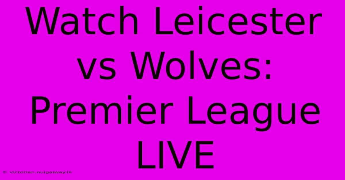 Watch Leicester Vs Wolves: Premier League LIVE