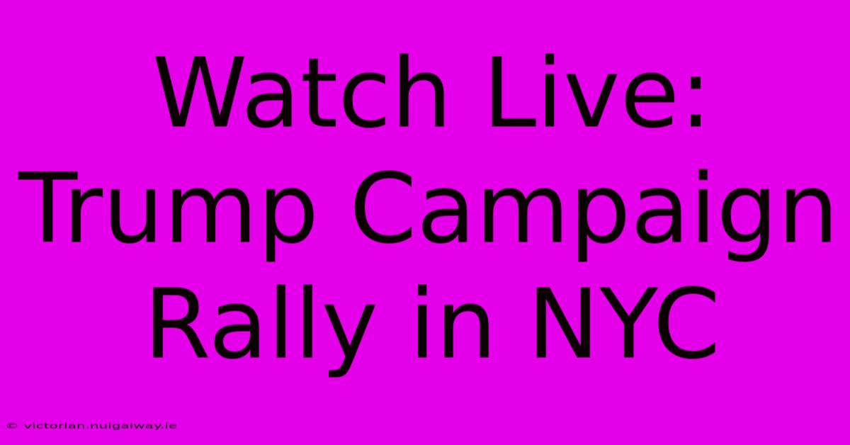 Watch Live: Trump Campaign Rally In NYC