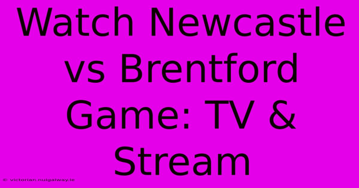 Watch Newcastle Vs Brentford Game: TV & Stream