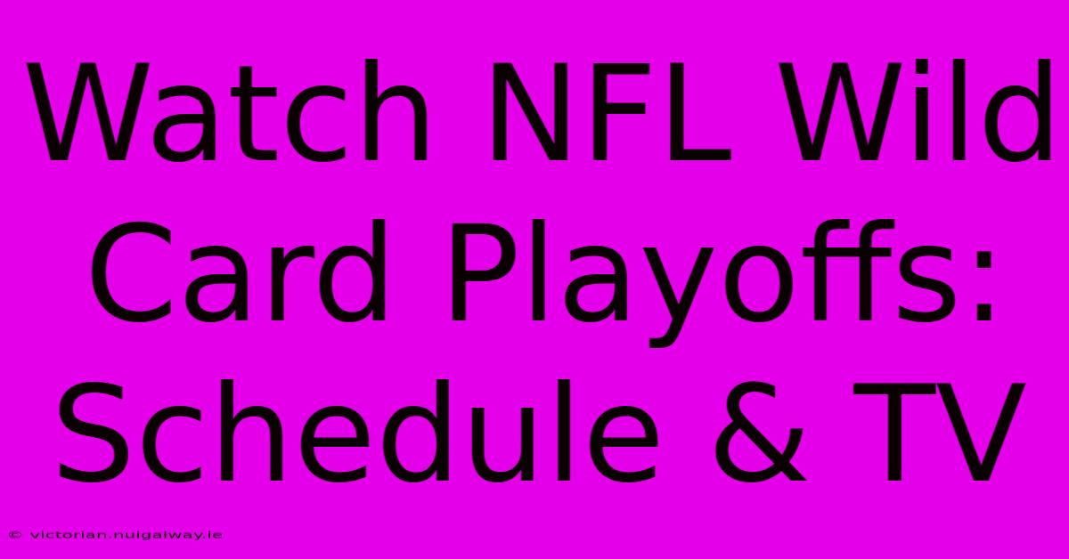 Watch NFL Wild Card Playoffs: Schedule & TV