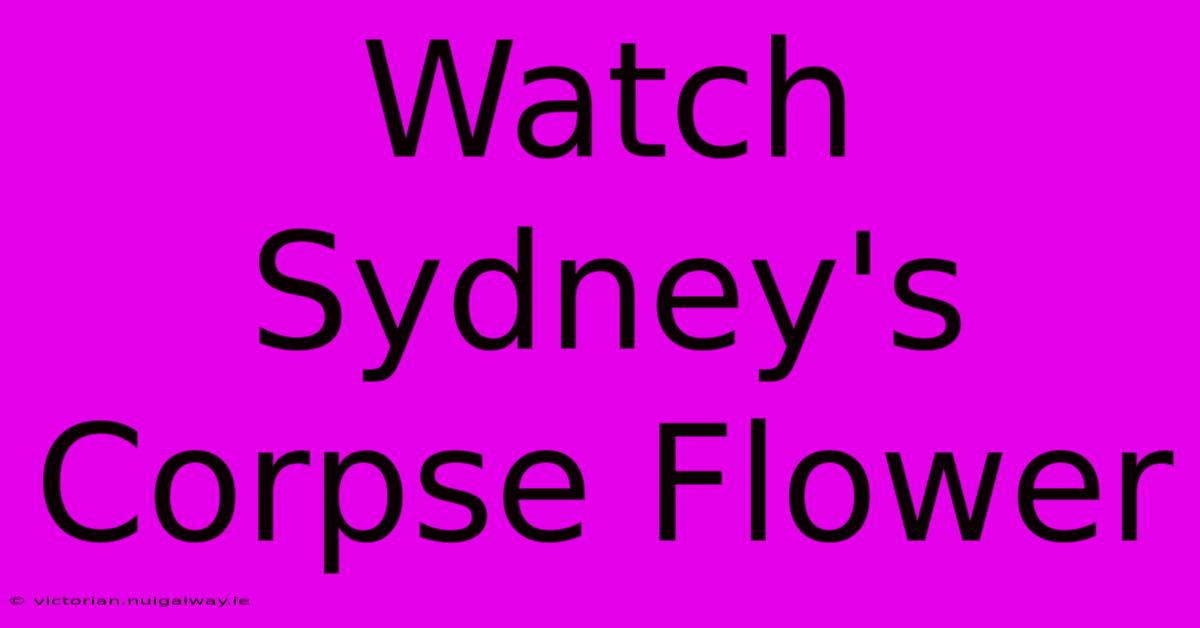 Watch Sydney's Corpse Flower