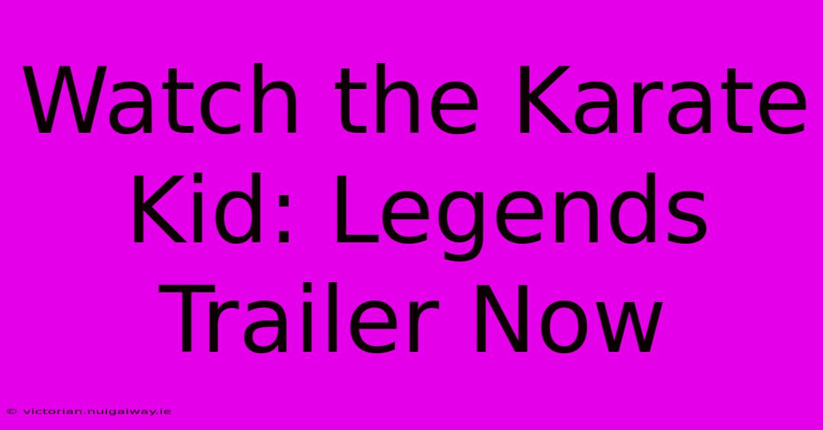 Watch The Karate Kid: Legends Trailer Now