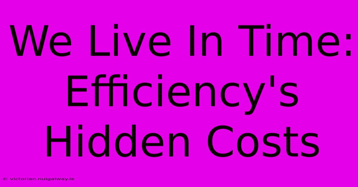 We Live In Time:  Efficiency's Hidden Costs