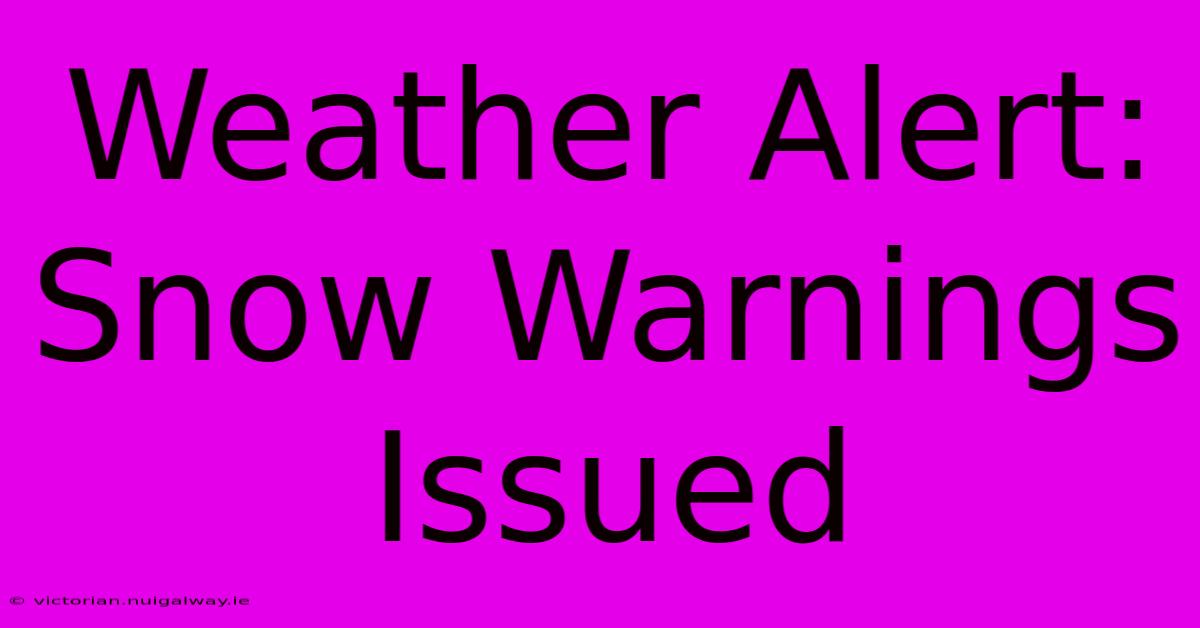 Weather Alert: Snow Warnings Issued