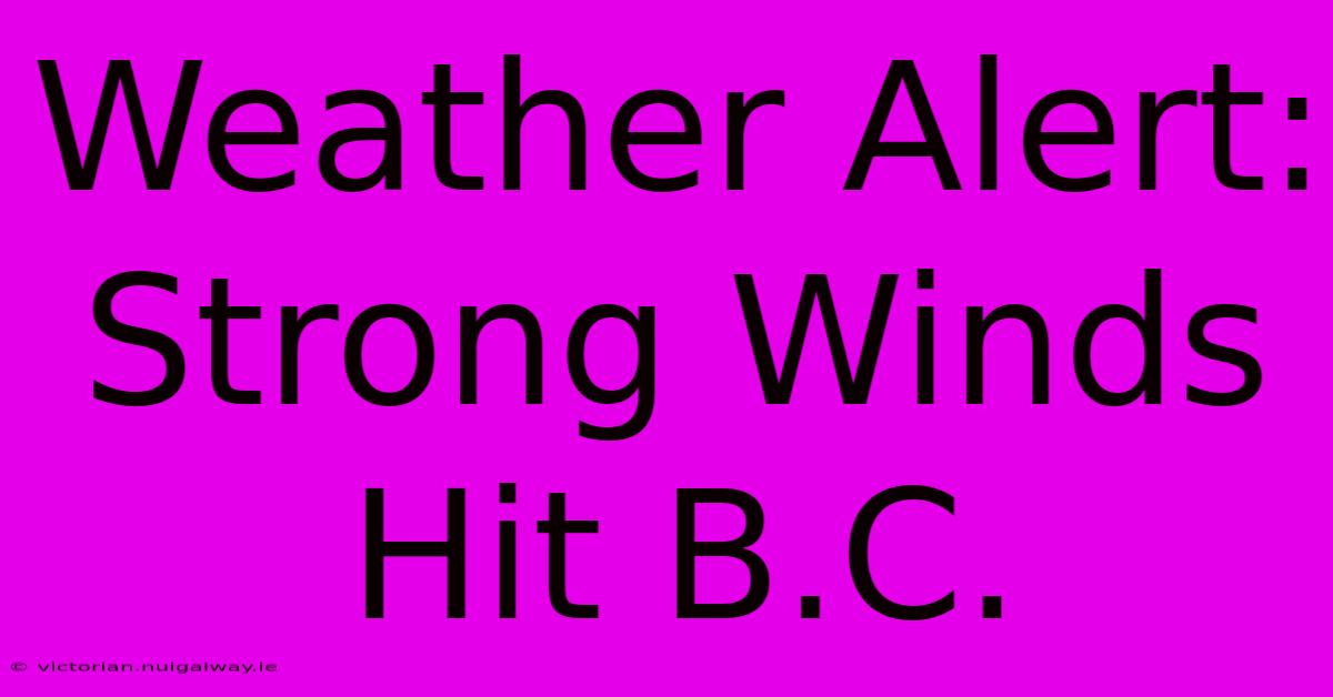 Weather Alert: Strong Winds Hit B.C.