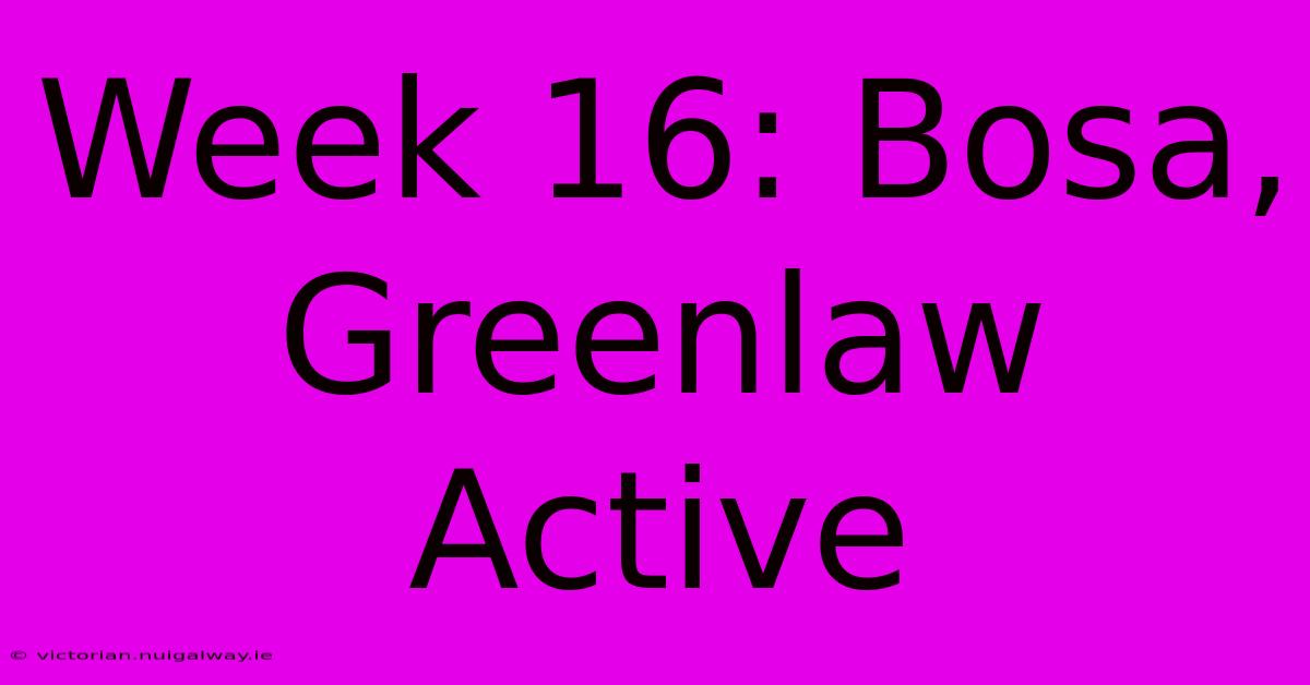 Week 16: Bosa, Greenlaw Active