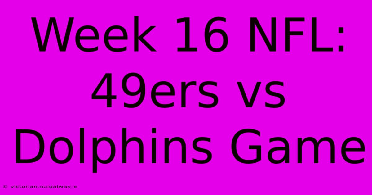 Week 16 NFL: 49ers Vs Dolphins Game