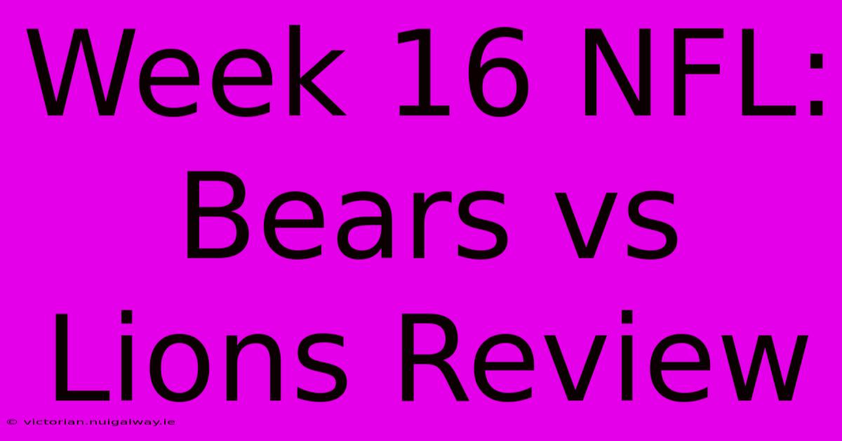 Week 16 NFL: Bears Vs Lions Review