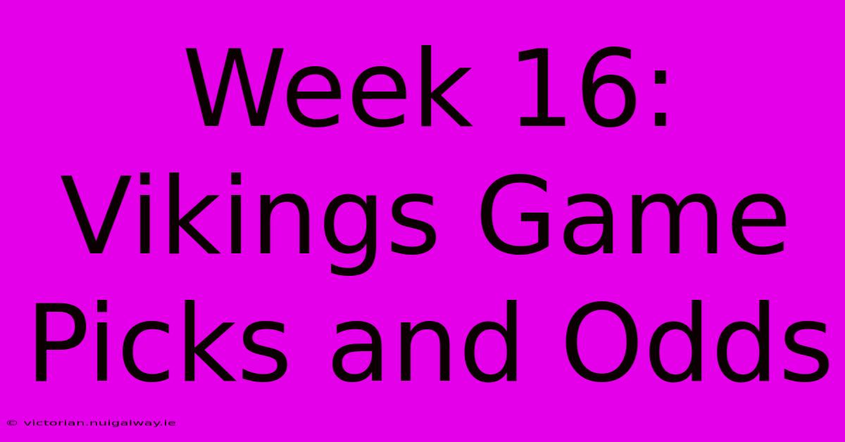 Week 16:  Vikings Game Picks And Odds