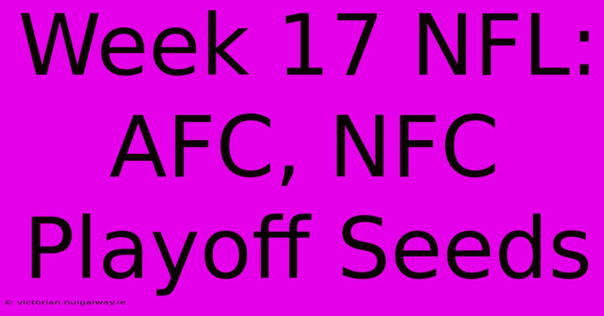 Week 17 NFL: AFC, NFC Playoff Seeds