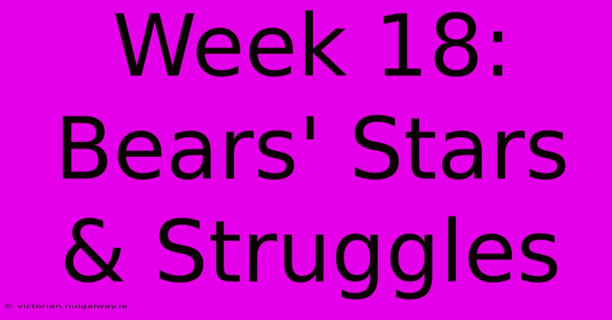 Week 18: Bears' Stars & Struggles