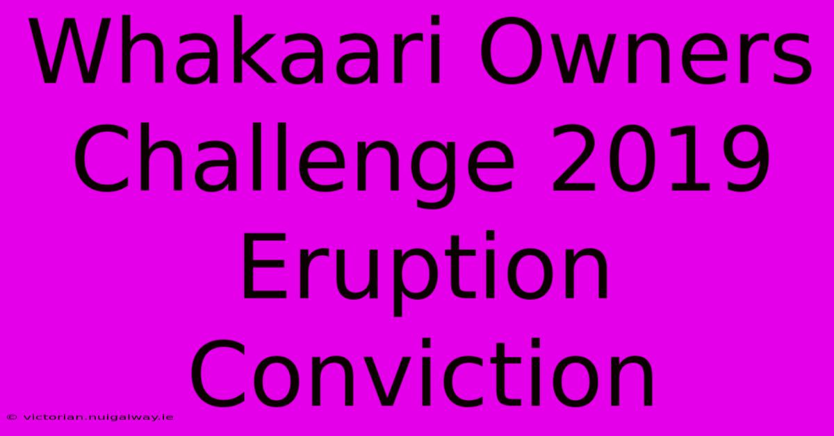 Whakaari Owners Challenge 2019 Eruption Conviction