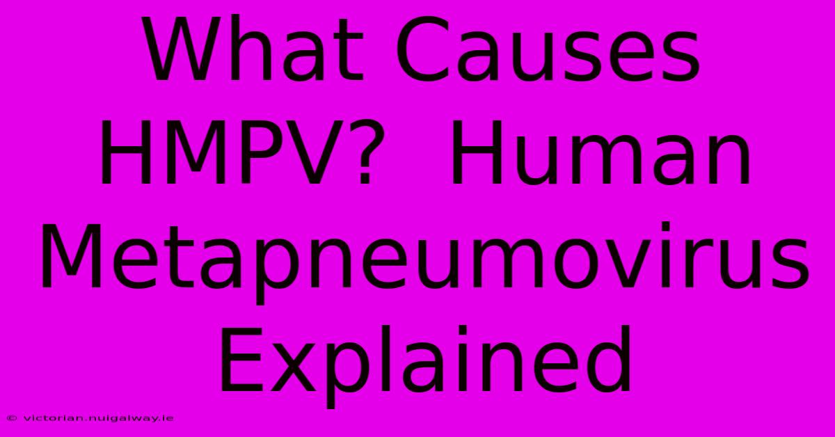 What Causes HMPV?  Human Metapneumovirus Explained