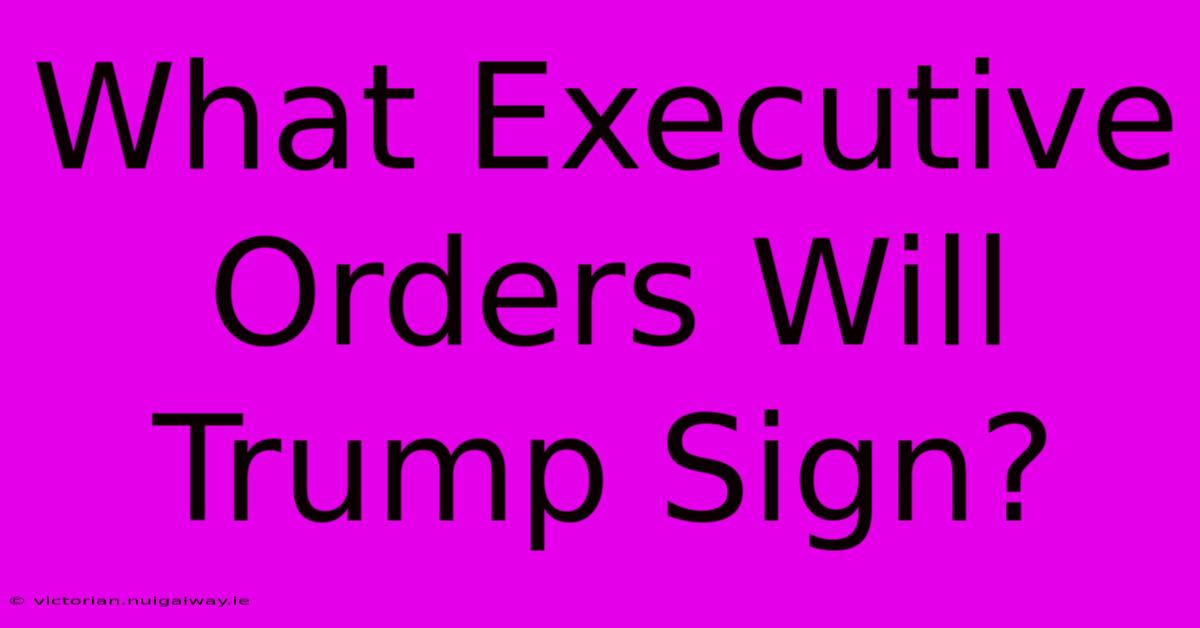 What Executive Orders Will Trump Sign?