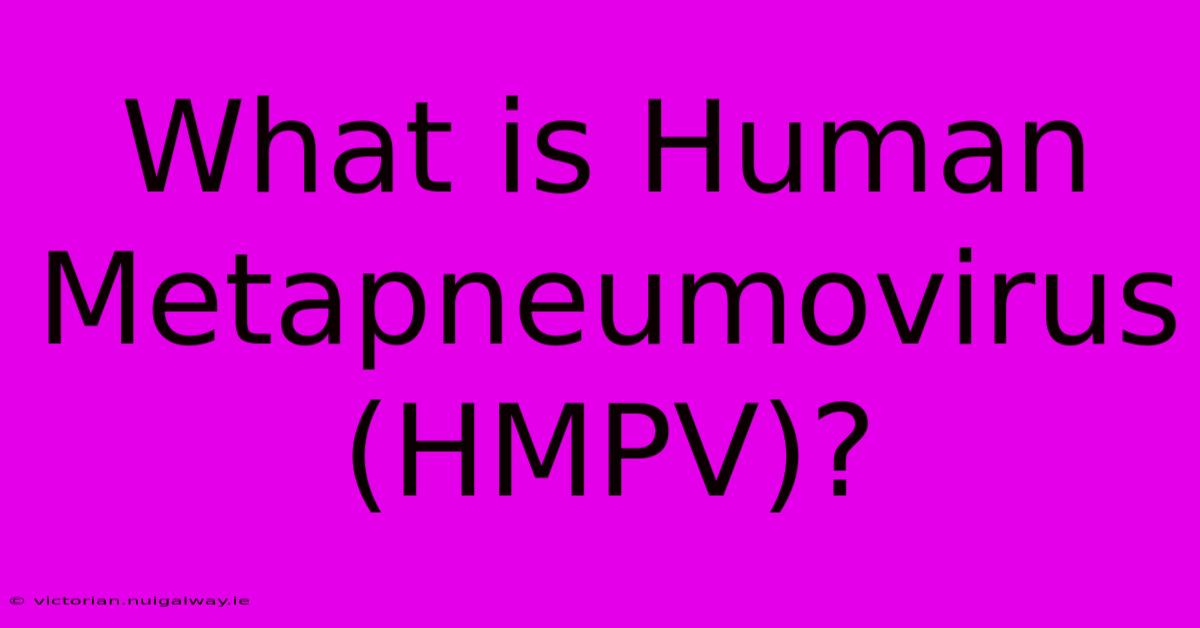 What Is Human Metapneumovirus (HMPV)?