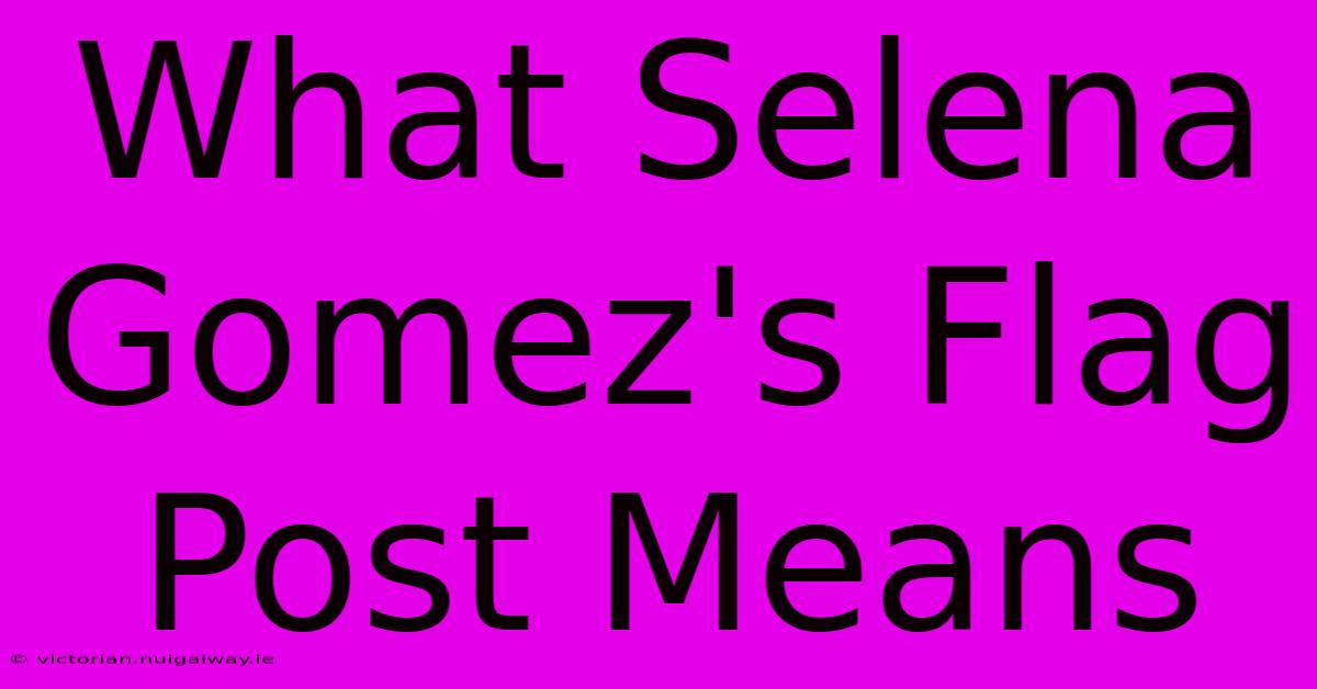 What Selena Gomez's Flag Post Means