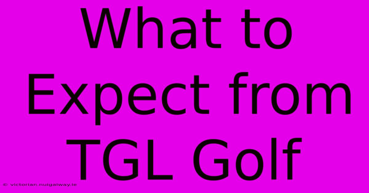 What To Expect From TGL Golf