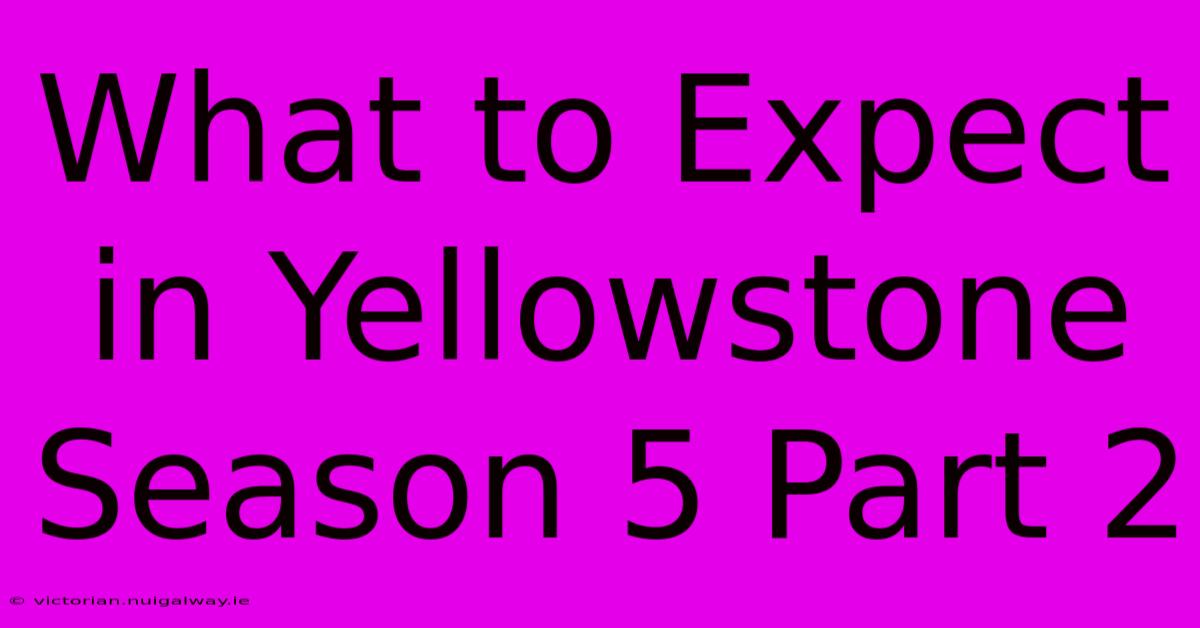 What To Expect In Yellowstone Season 5 Part 2