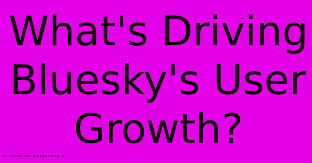 What's Driving Bluesky's User Growth?