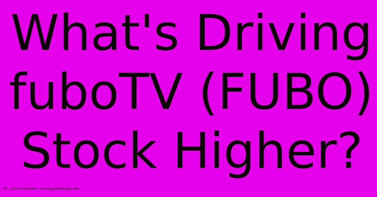 What's Driving FuboTV (FUBO) Stock Higher?