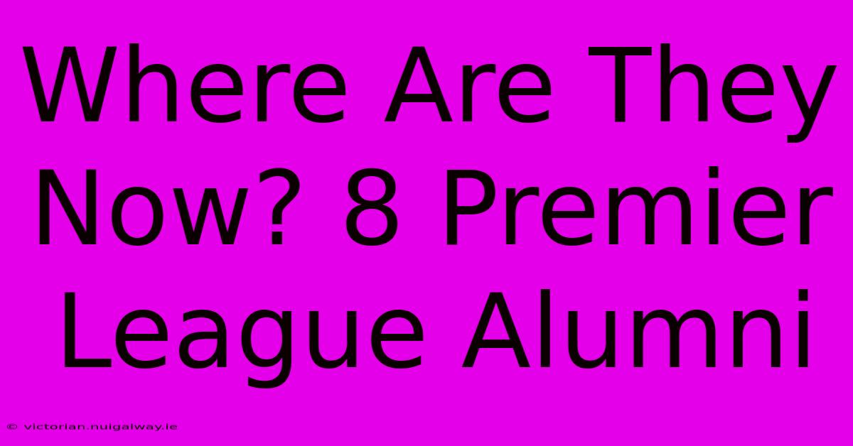 Where Are They Now? 8 Premier League Alumni