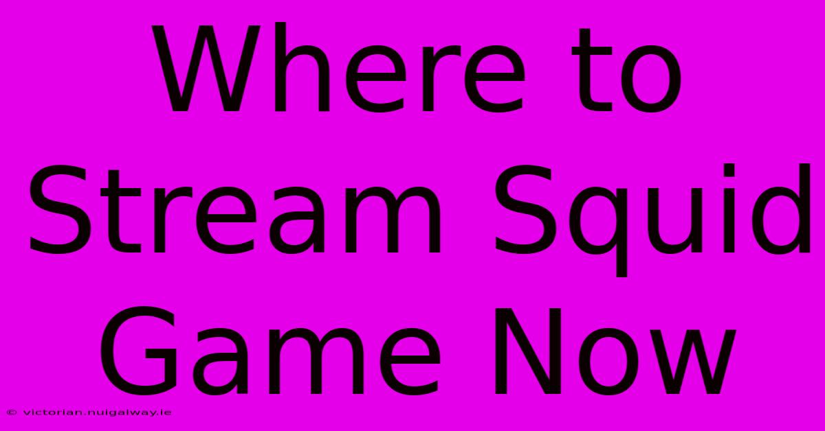 Where To Stream Squid Game Now