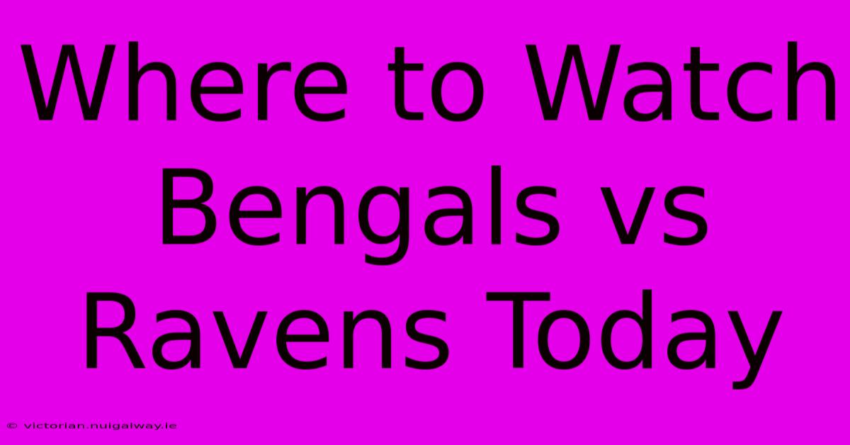 Where To Watch Bengals Vs Ravens Today