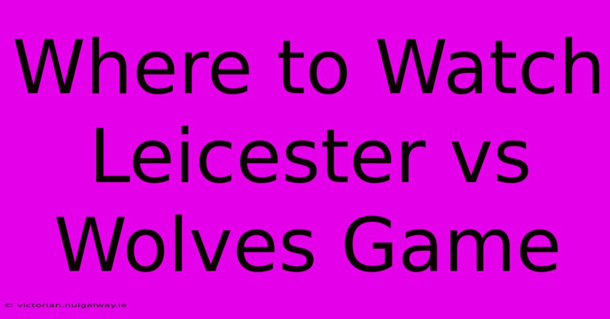 Where To Watch Leicester Vs Wolves Game