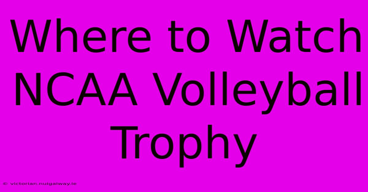 Where To Watch NCAA Volleyball Trophy