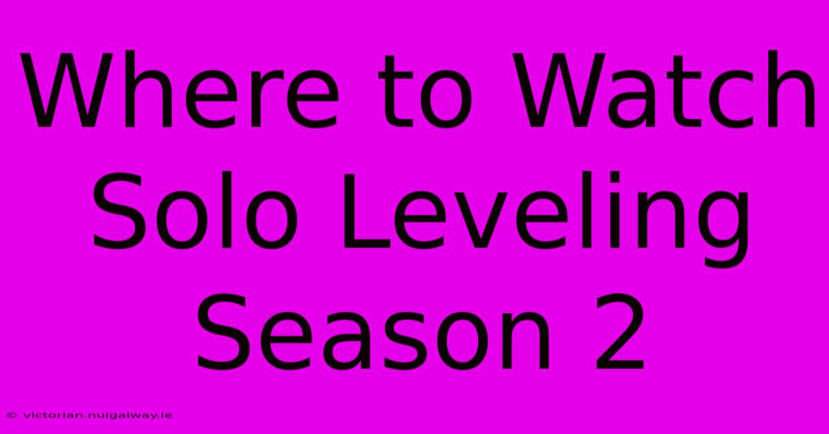 Where To Watch Solo Leveling Season 2