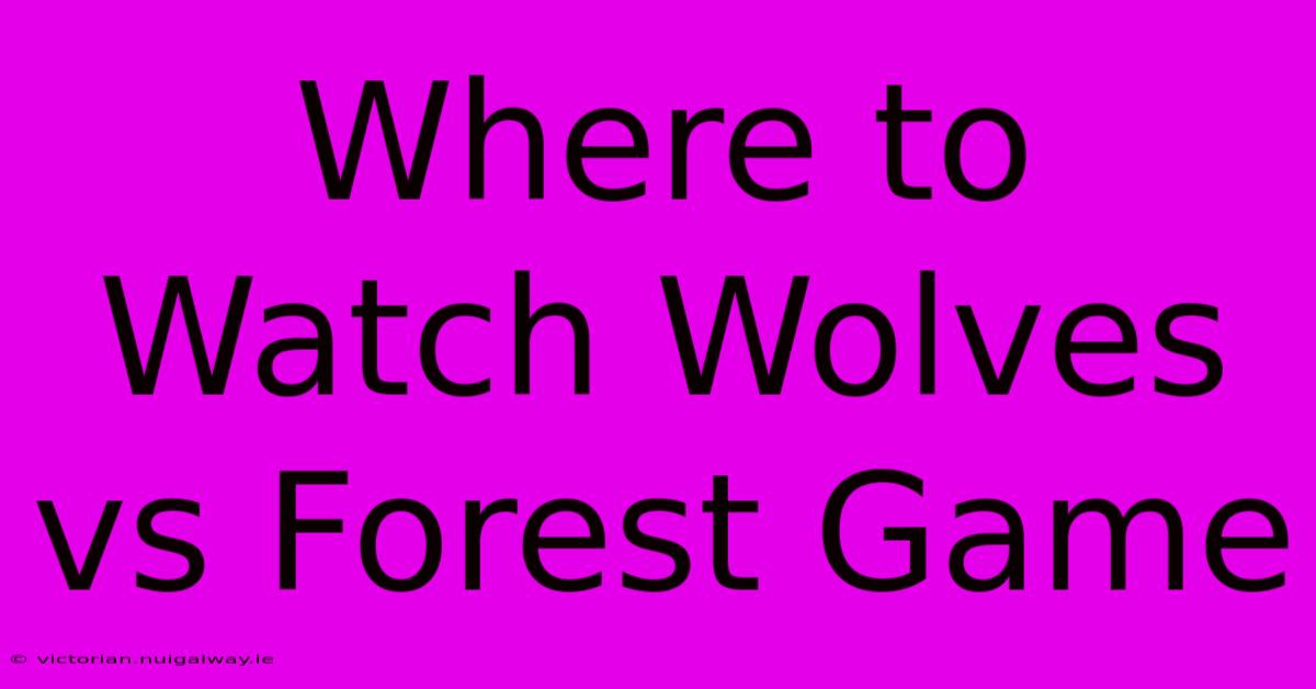 Where To Watch Wolves Vs Forest Game