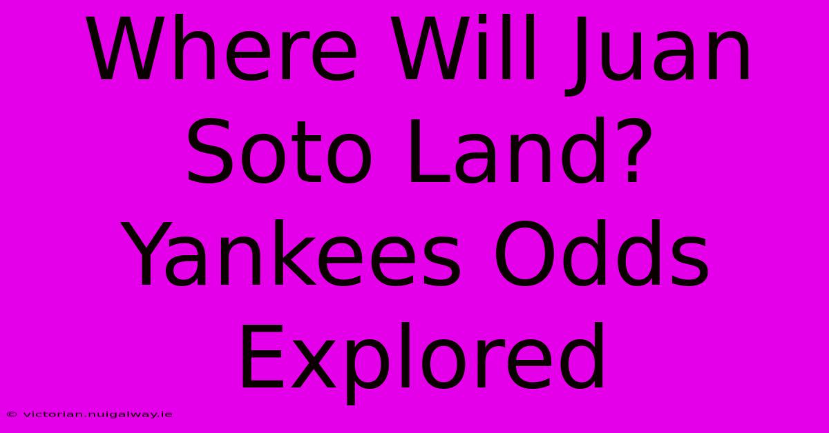 Where Will Juan Soto Land? Yankees Odds Explored