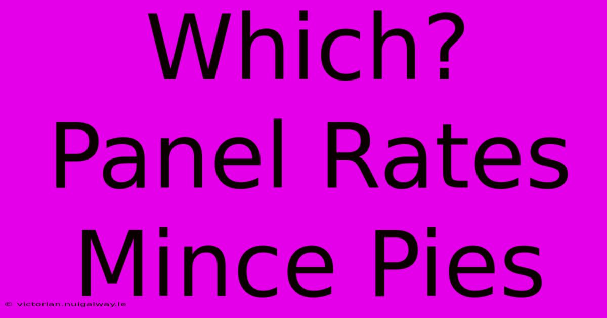 Which? Panel Rates Mince Pies