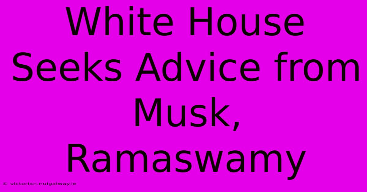 White House Seeks Advice From Musk, Ramaswamy 